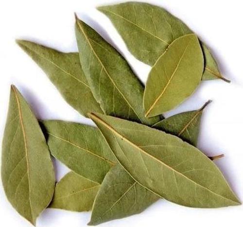 Defne Yaprağı 25 Gr (Paket-Bitki) 1Adet