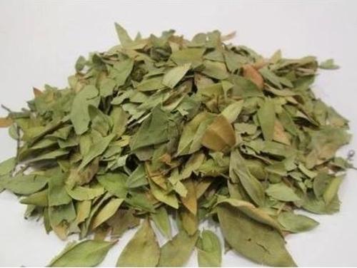 Mersin Yaprağı 35 Gr (Paket-Bitki) 1Adet