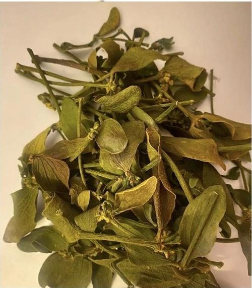 Ökse Otu 50 Gr (Paket-Bitki) 1Adet