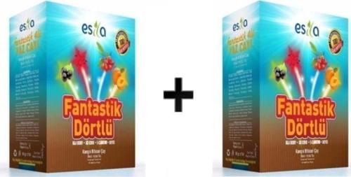 Fantastik Dörtlü Yaz Karışık Bitki Süzen Poşet Çay 45'li 2 kutu