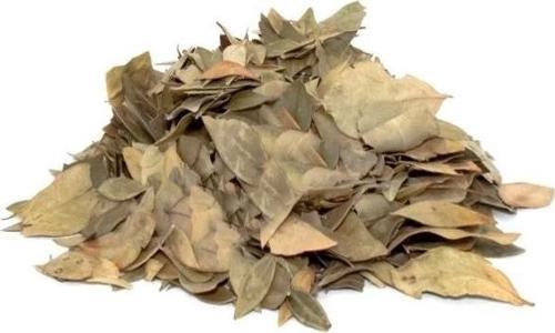 Mabet Ağacı Yaprağı 10 G