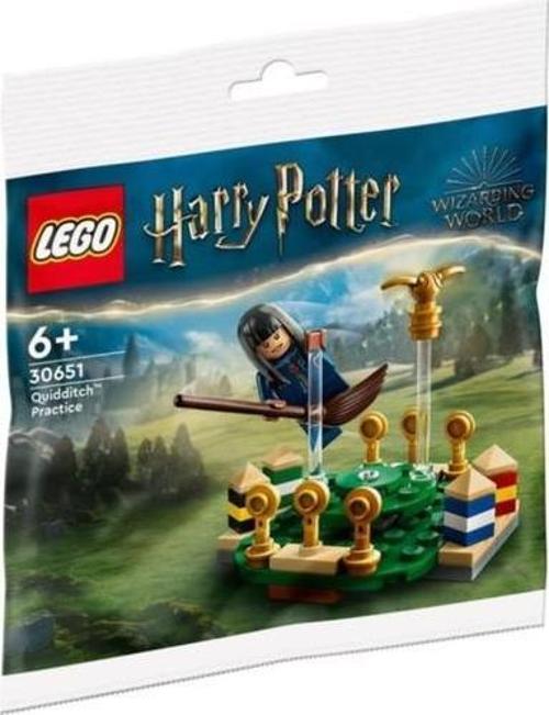 Harry Potter 30651 Quidditch Antrenmanı Polybag +6 Yaş (55 Parça)