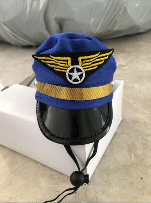 Cadılar Bayramı Evcil Hayvan Pilot Şapkası