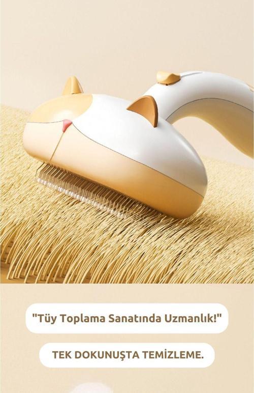 Kedi Ve Köpek Tarağı