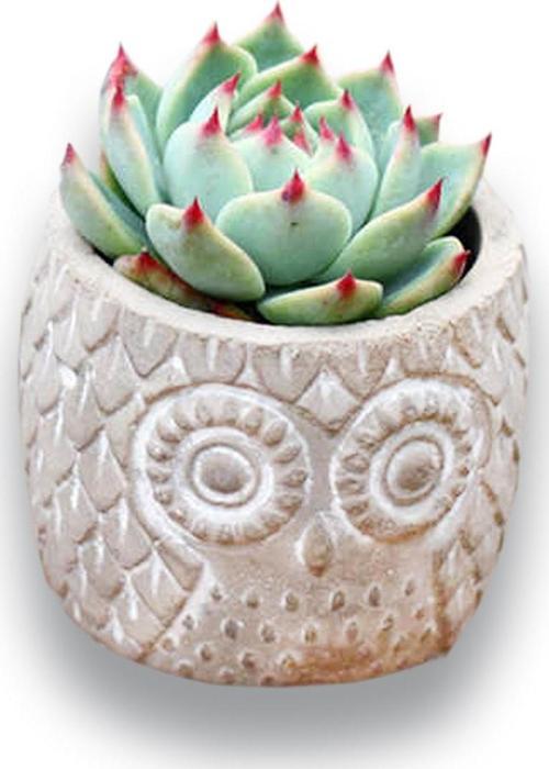 Döküm Beton Hediyeli Silikon Kalıp 65x55mm No:39 