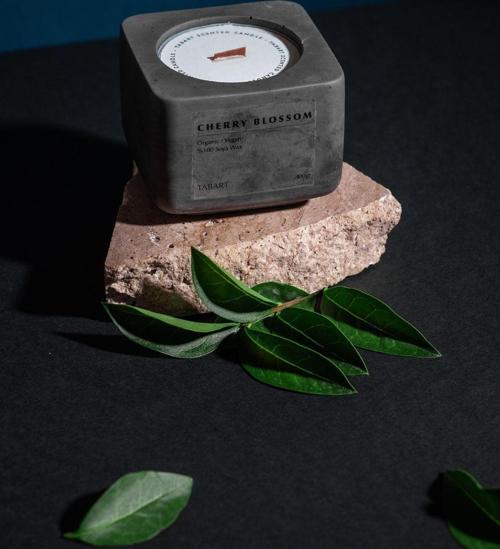 %100 Soya Wax Organik Beton Mum & Saksı Chery Blossom