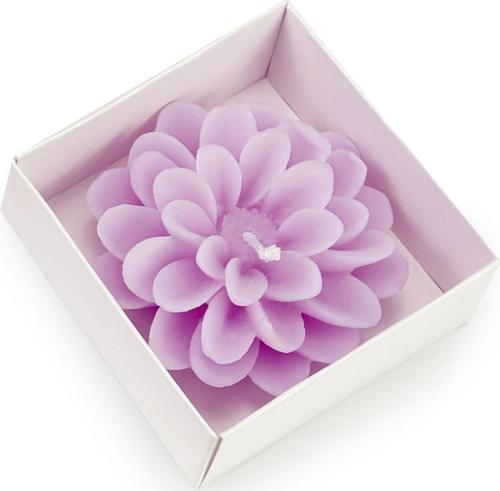 Lotus Mum Mor