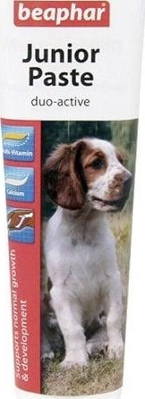 Duo Active Junior Paste Yavru Köpek Macunu 100 Gr