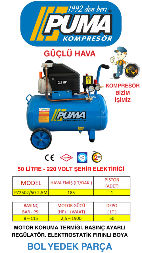 50 Lt Hava Kompresörü (2,5HP)