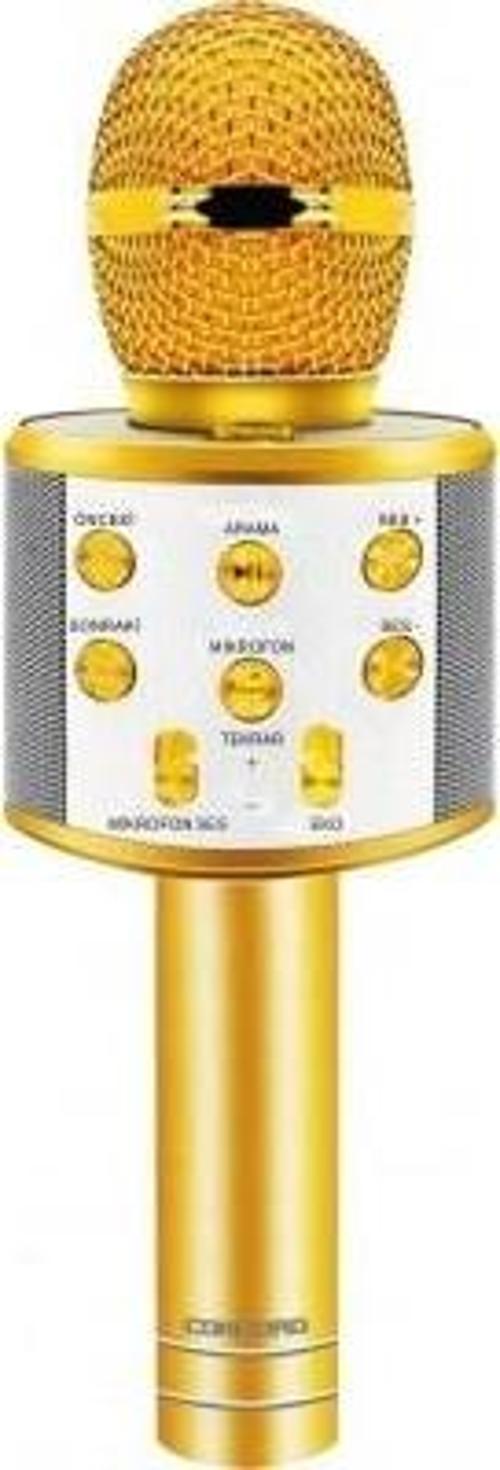 C-8501 Sihirli Bluetooth Karaoke Mikrofon Usb Kart Girişi