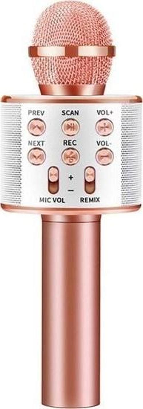 C-8501 Sihirli Bluetooth Karaoke Mikrofon Usb Kart Girişi