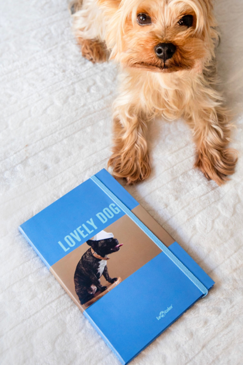 Köpek Dünyası Journal Düz