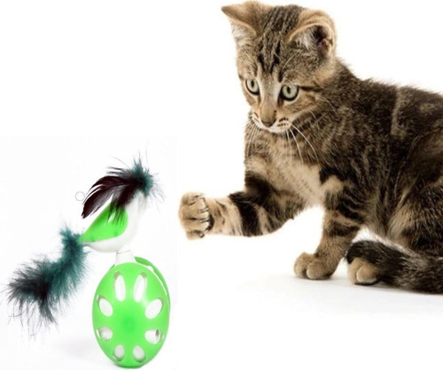 Tekerlekli Hacıyatmaz Kuş Kedi Oyuncağı Yeşil 1 Adet