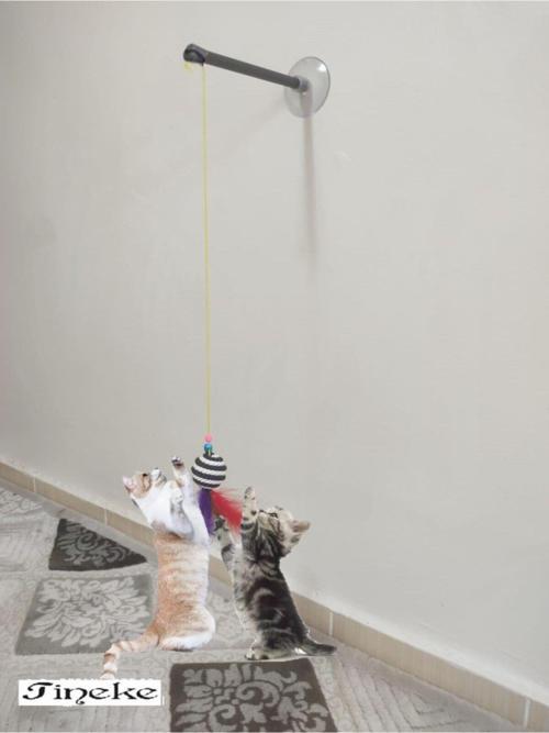 Vantuzlu Kedi Oltası Kedi Oyuncağı