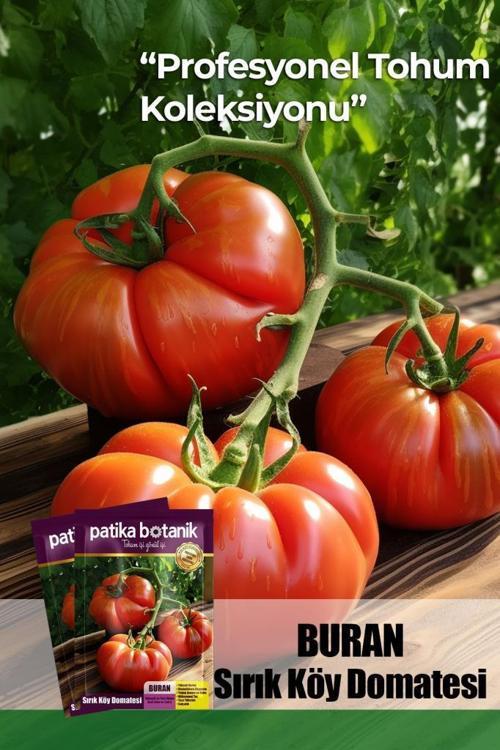 10 Adet Buran Domates Tohumu