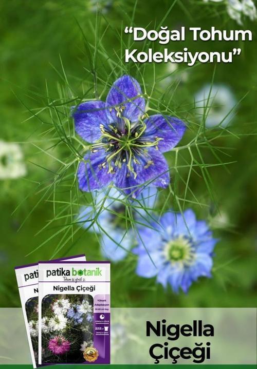 100 Adet Nigella Çiçeği Tohumu