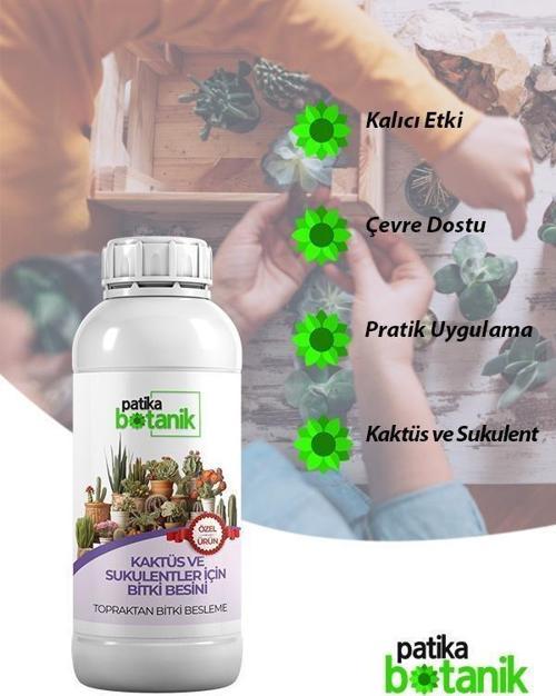 500 ML Kaktüs ve Sukulentler İçin Genel Besin - Topraktan