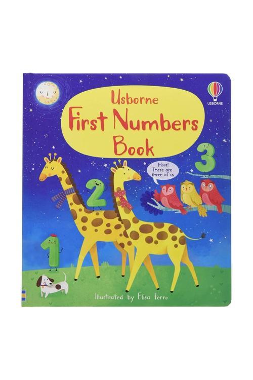 First Numbers Book
