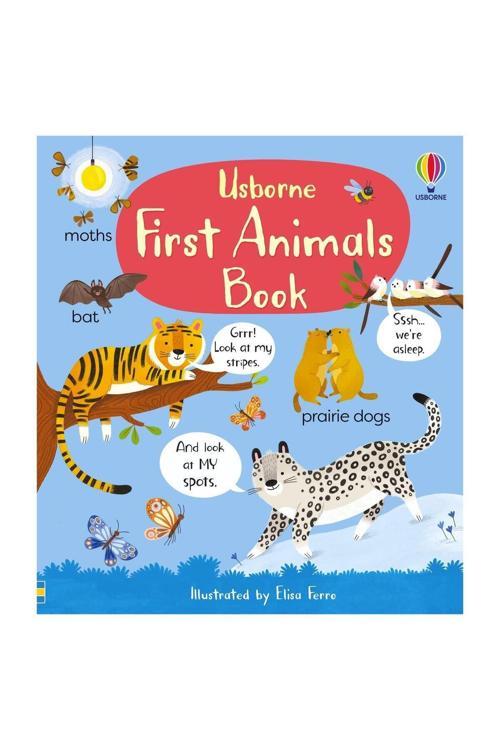 First Animals Book