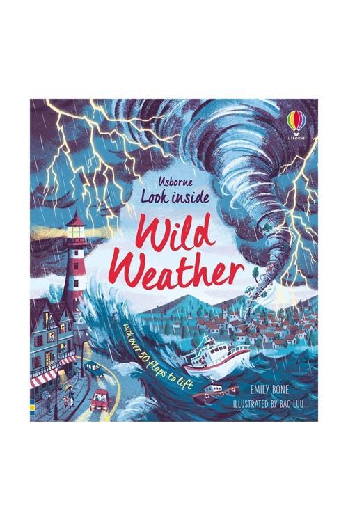Look Inside Wild Weather