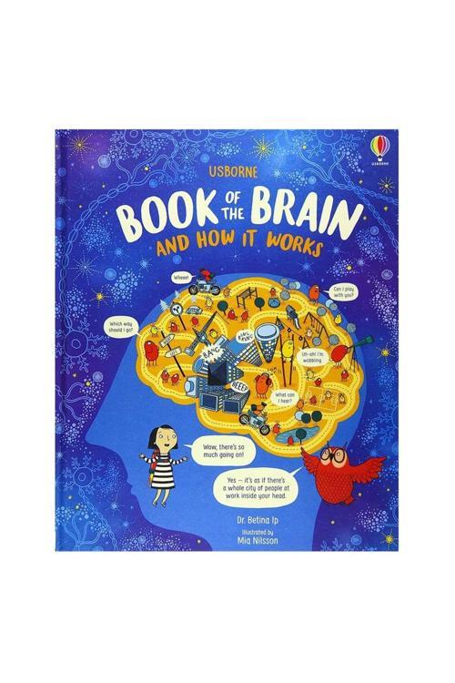 Usborne Book Of The Brain