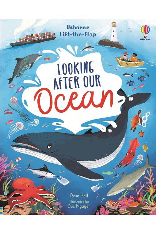 LTF Looking After Our Ocean