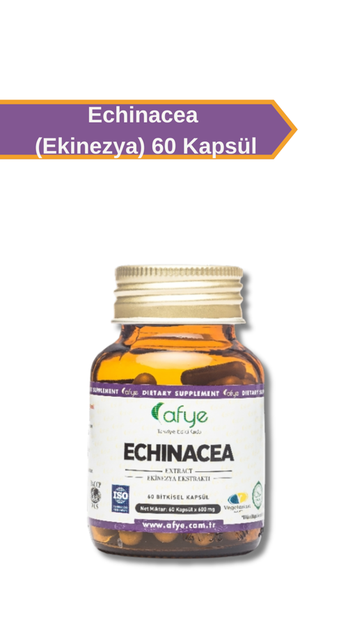 Ekinezya  60 Kapsül