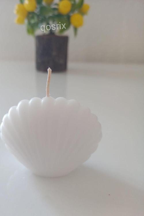 Beyaz Mini Istiridye Deniz Kabuğu 1. Kalite Soya Doğal Vanilya Kokulu Mum Dekoratif 1 Adet