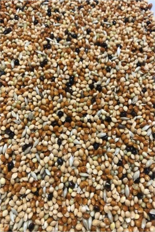 Muhabbet Kuşu Yemi Karışık Vitaminli 3 Kg - Meyvesiz Yeni Mahsül Saf Kuş Yemi