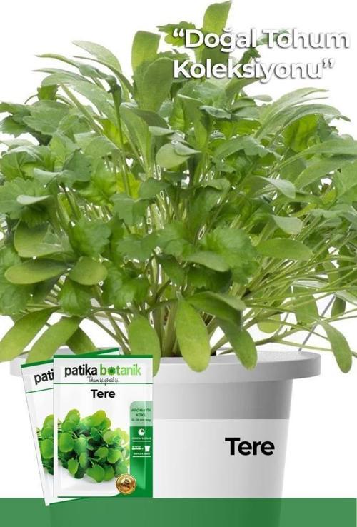 5000 Adet Yerli Tere Tohumu