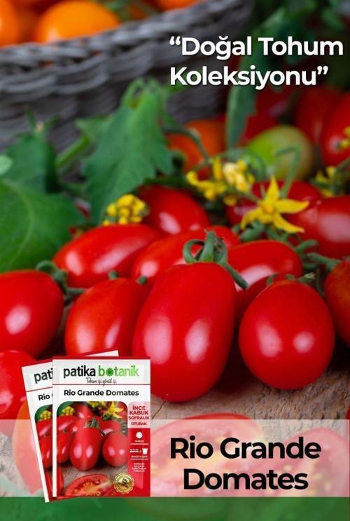 200 Adet Rio Grande (Bursa, Salçalık) Domates Tohumu