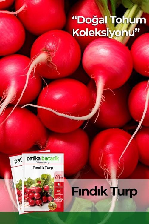 500 Adet Fındık Turp Tohumu 8682755106631GCL