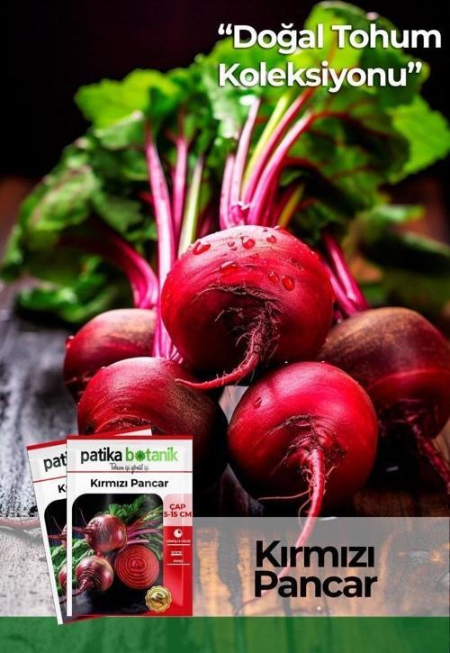 75 Adet Yerli Ata Kırmızı Pancar Tohumu