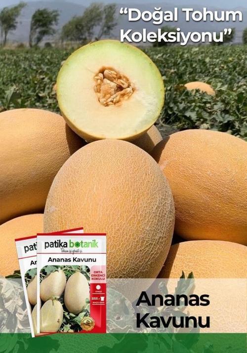 80 Adet Yerli Ata Ananas Kavun Tohumu