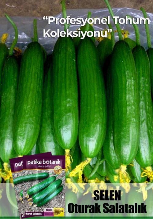 10 Adet Se*len Salatalık Tohumu ( Erkenci, Dişi Çiçek)
