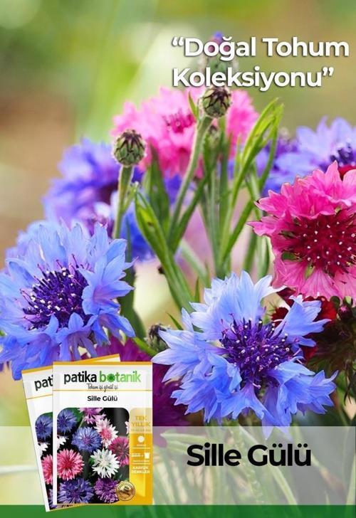 Kontur (centaurea) Çiçek Tohumu 50 Adet