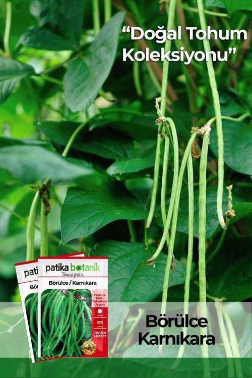 40 Adet Yerli Ata Börülce Tohumu