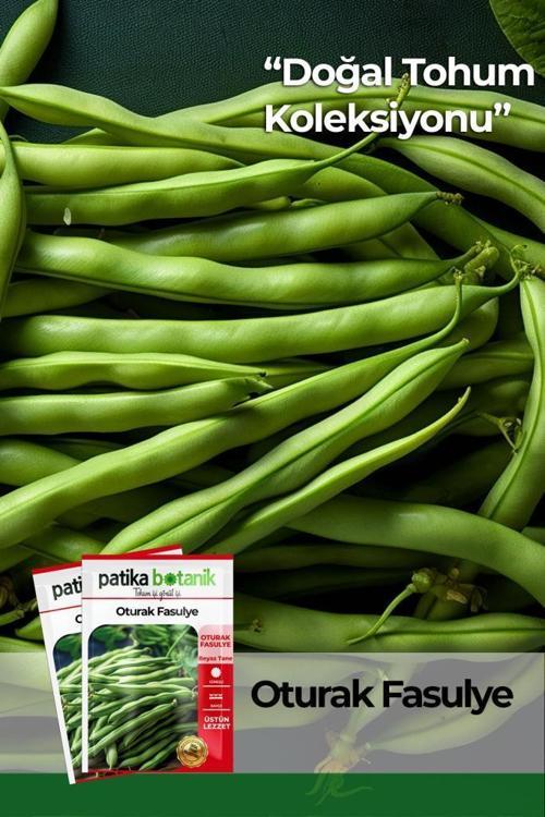 40 Adet Yerli Ata Oturak Fasulye Tohumu