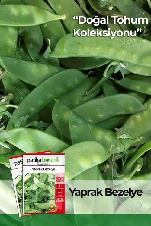 40 Adet Yerli Ata Yaprak Bezelye Tohumu
