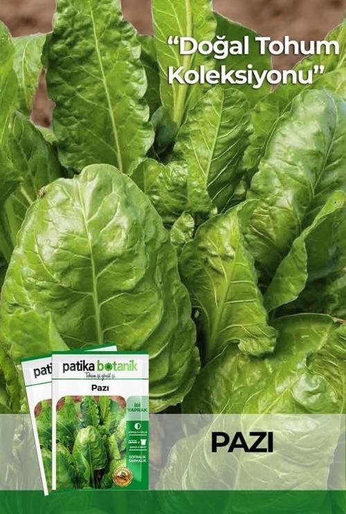 400 Adet Yerli Ata Geniş Yaprak Pazı Tohumu (10 Gram)