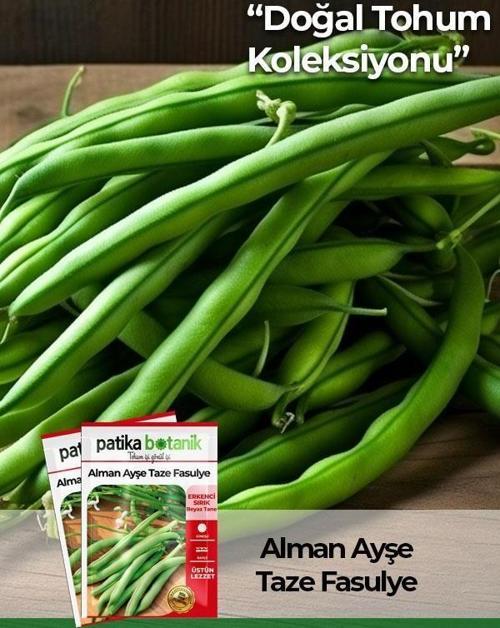 50 Adet Alman Ayşe Tipi Sırık Fasulye Tohumu 
