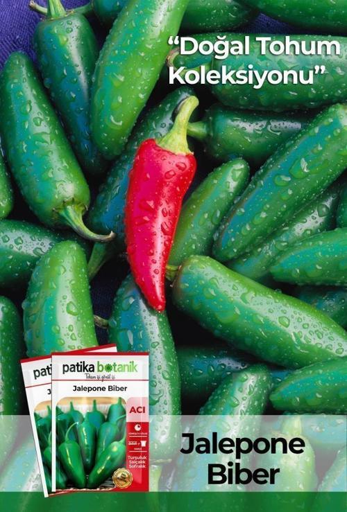 150 Adet Yerli Ata Jalapeno Biber Tohumu