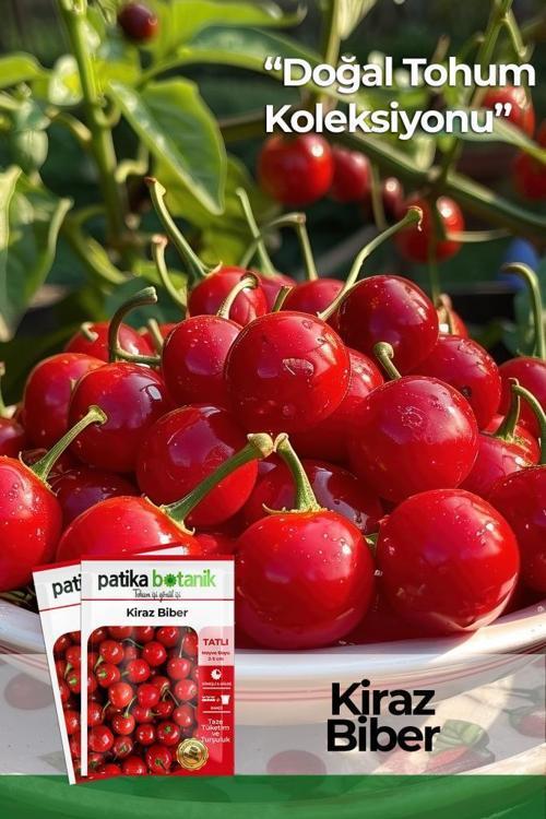 150 Adet Yerli Ata Kiraz Biber Tohumu (Tatlı)