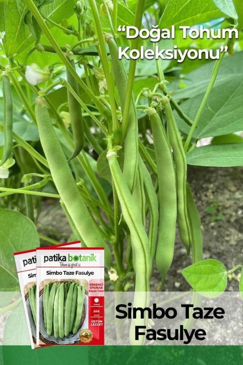 50 Adet Simbo Fasulye Tohumu