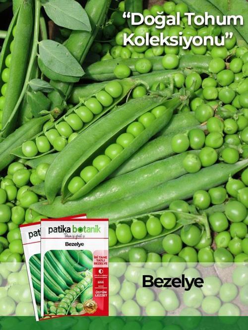 50 Adet Taze Bezelye Tohumu (UTRİLLO, ARAKA)