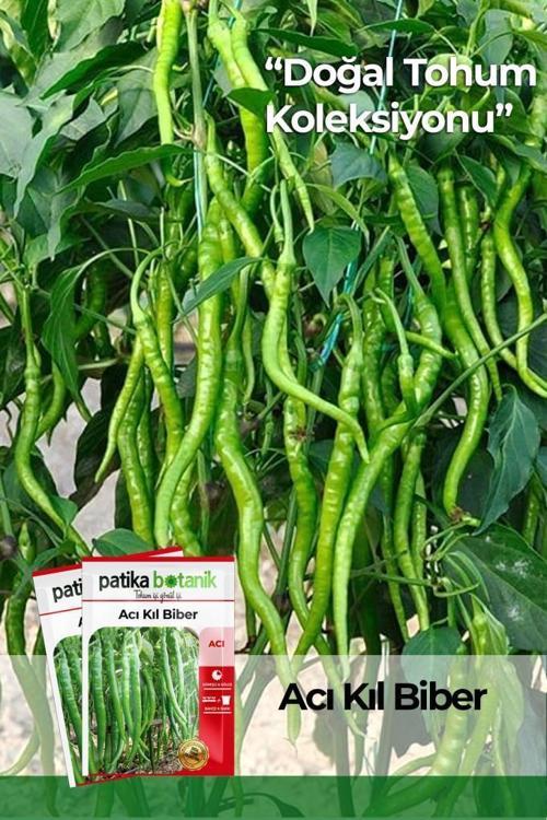 200 Adet Acı Kıl Biber Tohumu