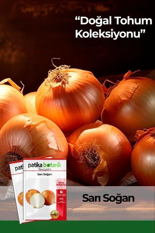 500 Adet Sarı Soğan Tohumu