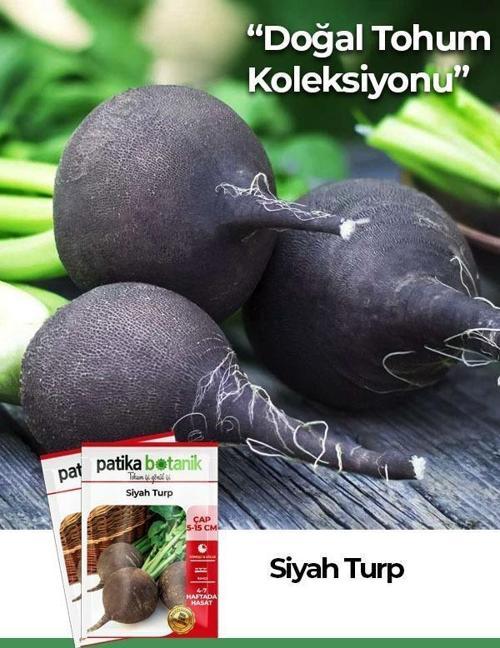 500 Adet Siyah Turp Tohumu
