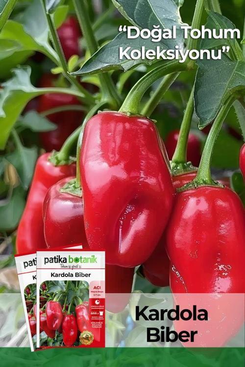 200 Adet Kardola Biber Tohumu (Mini Kapya)