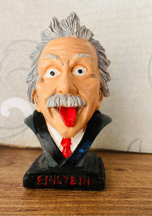 Einstein Biblo Öğretmene Hediye